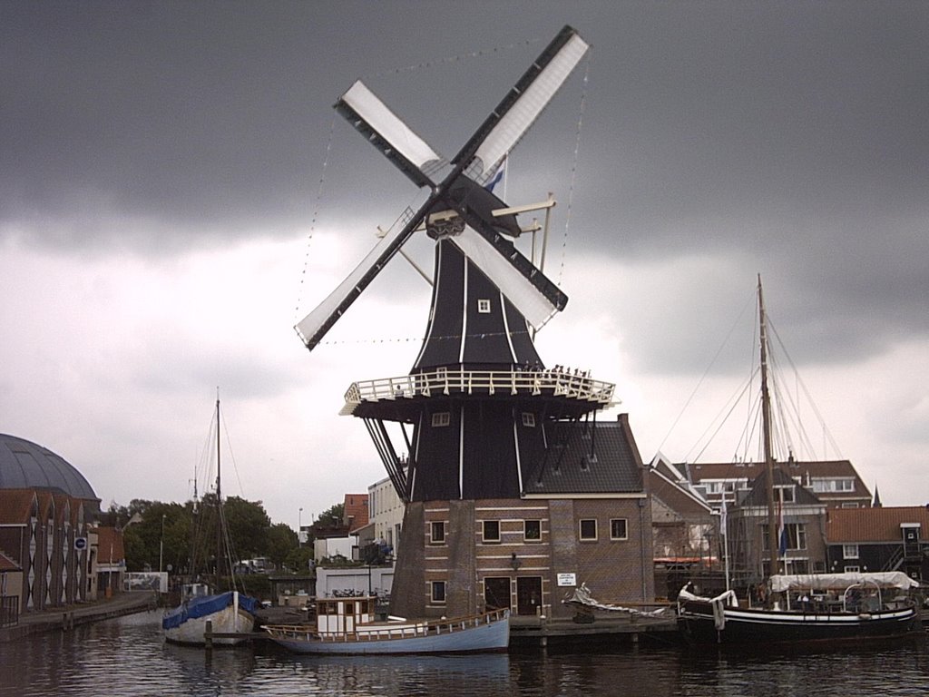 Windmill in Haarlem (Netherlands) by alwynwill