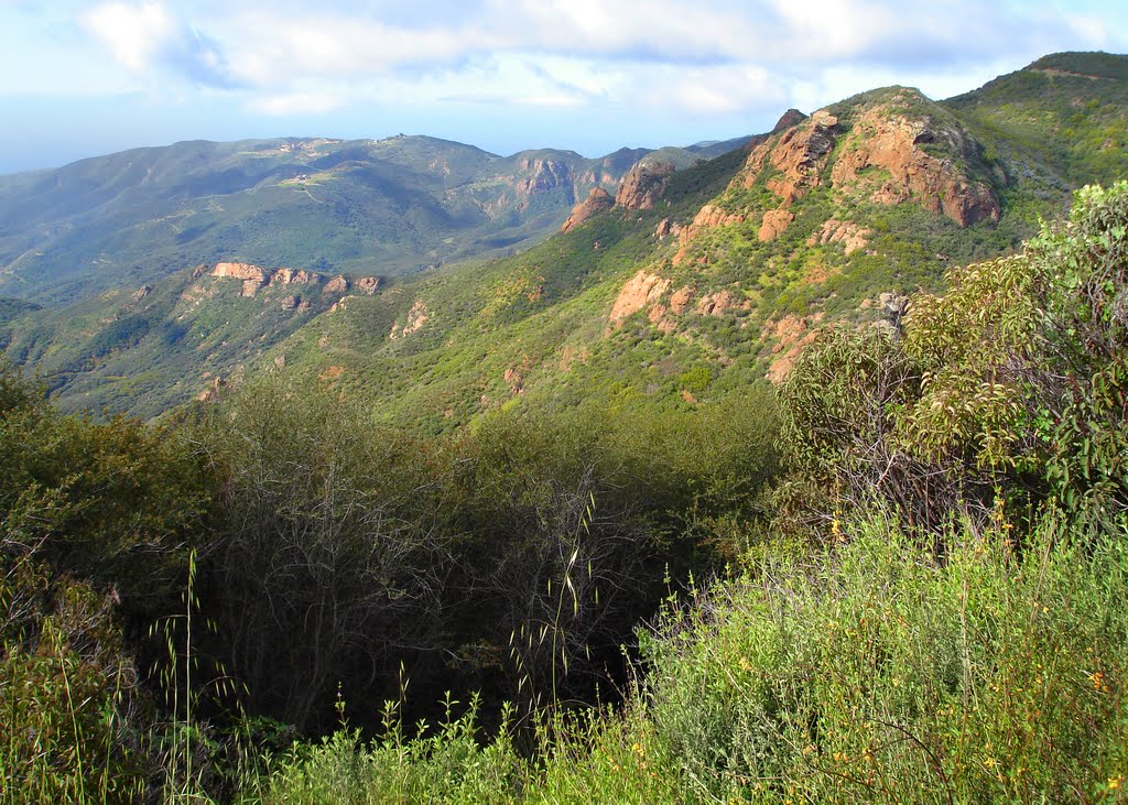 Malibu Hills After the Rains by Tereska