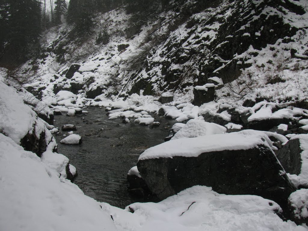 Snowy Day at Denny Creek by Todd Stahlecker