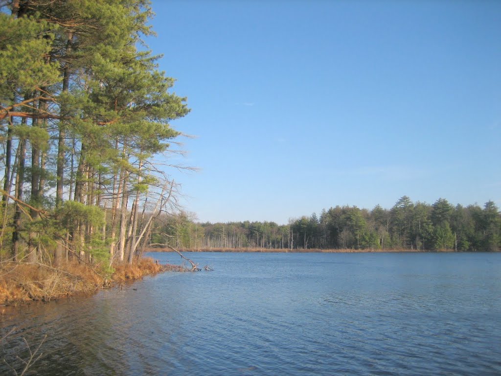 Puffer Pond, Assabet NWR by wdurette