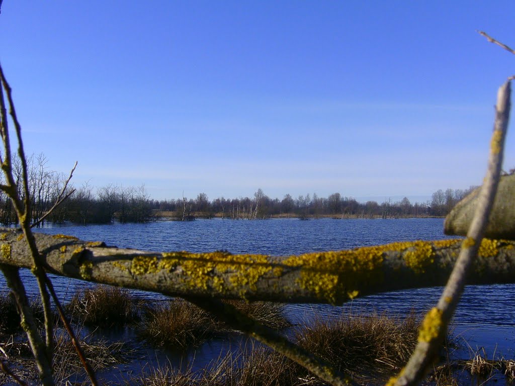 Wetlands nabij Earnewâld (Eernewoude) by emrijnders