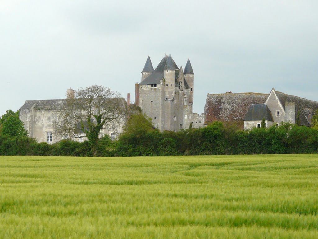 Donjon de Bridoré - Indre-et-Loire by lorcas