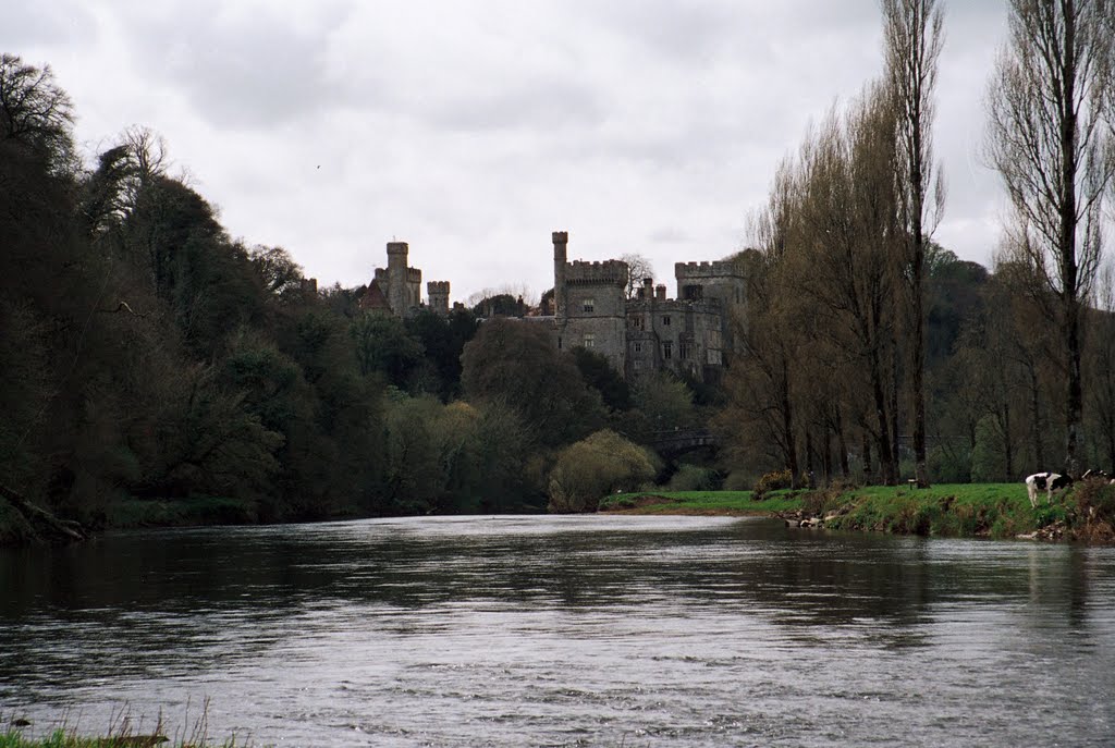 Castle, Lismore, Ireland by Tomasz Bukowski