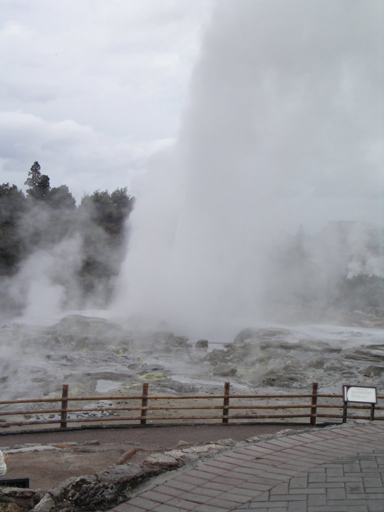 Rotorua Geyser by msd.deeview