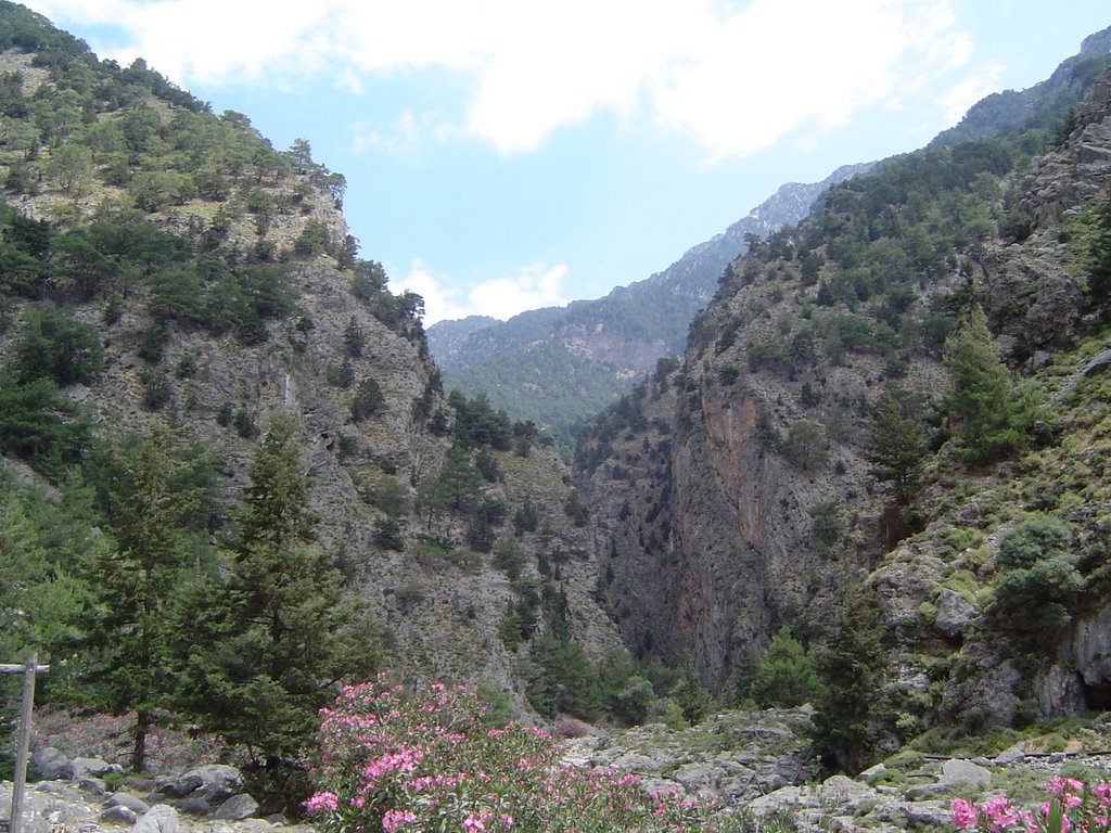 Gorge of the Dead, Zakros by K_Hill