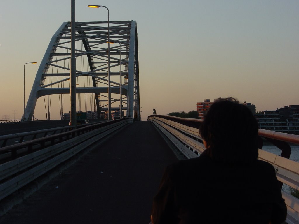 Merwede Bridge - Dordrecht - Holland by Leo Roubos