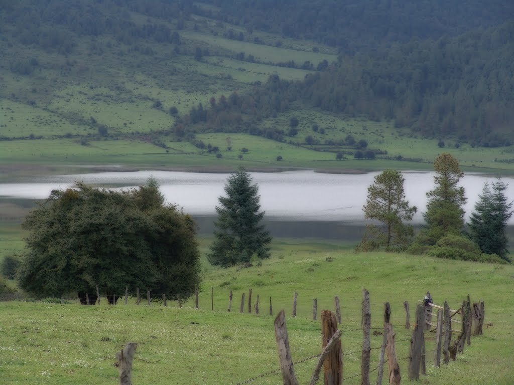 Laguna de San Gregorio, junto al Cerro Burro, Michoacan by nebroe