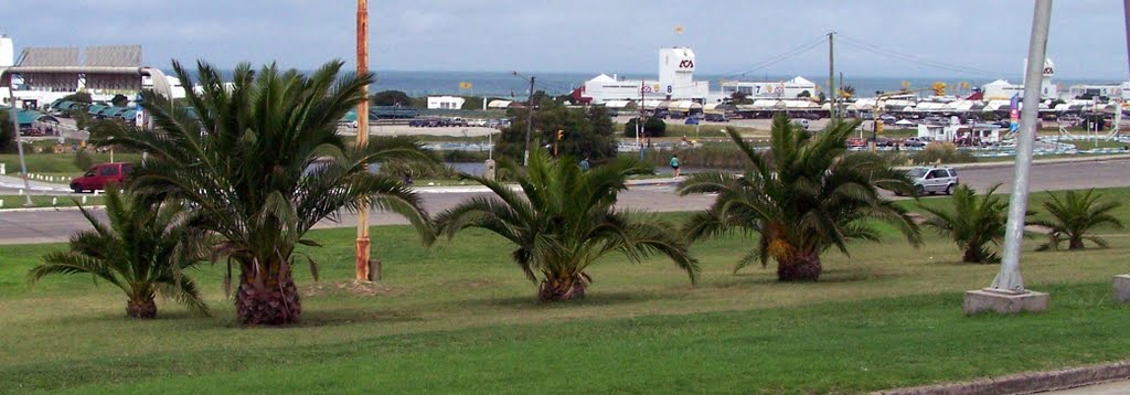 Punta Mogotes. Mar del Plata. by Eduardo Castaño