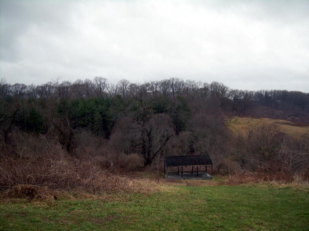 Ashland Nature Center by mortonfox