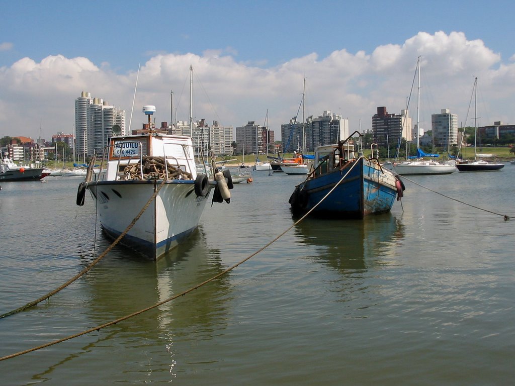 Puerto del Buceo - Fishing boats by Juan Pedro Medina