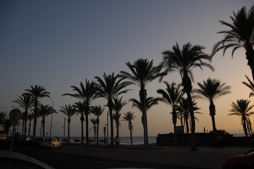 Playa de las Américas by Oliver Reina