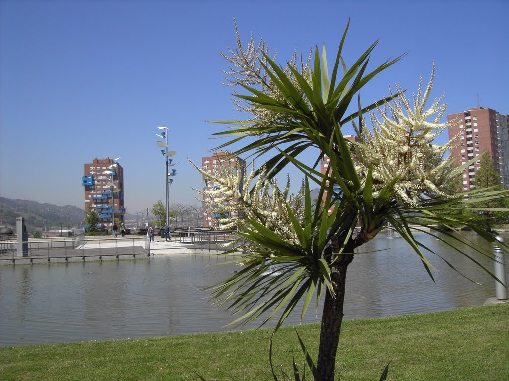 BARAKALDO-Remanso de paz-Backwater of peace by Antonio Modroño Ferrin