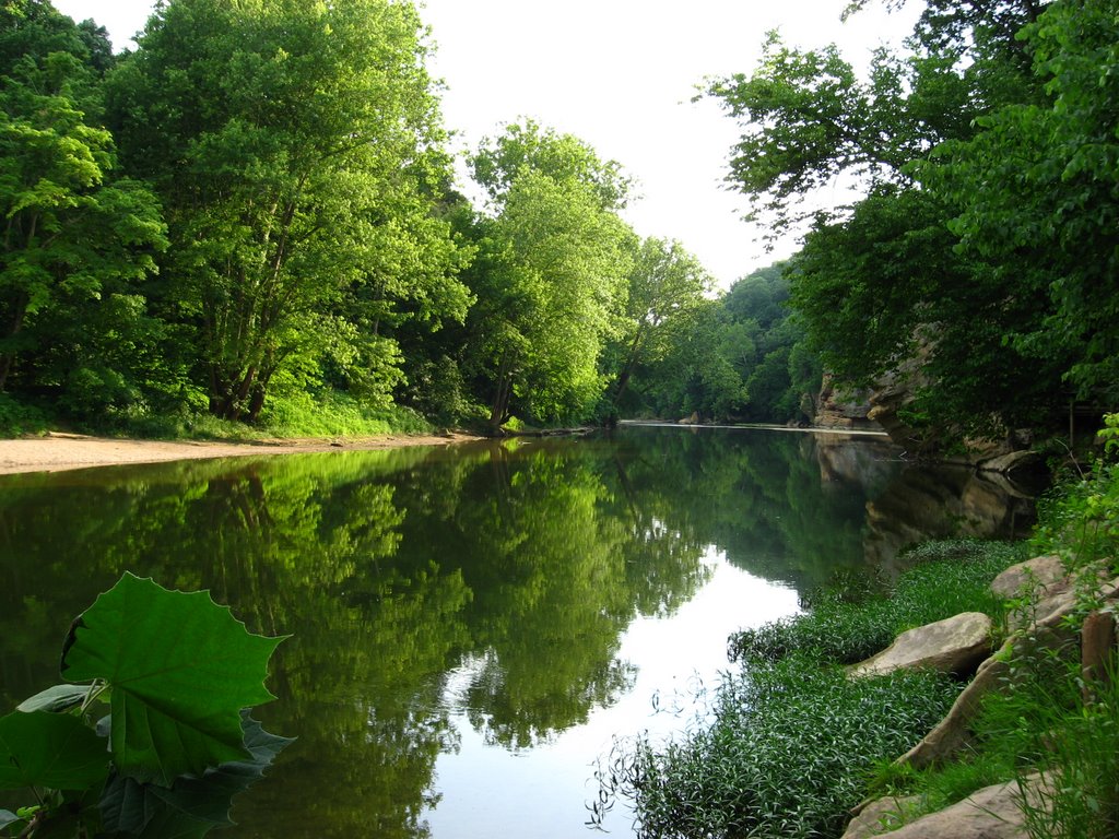 Turkey Run Park - River by Juan Pedro Medina