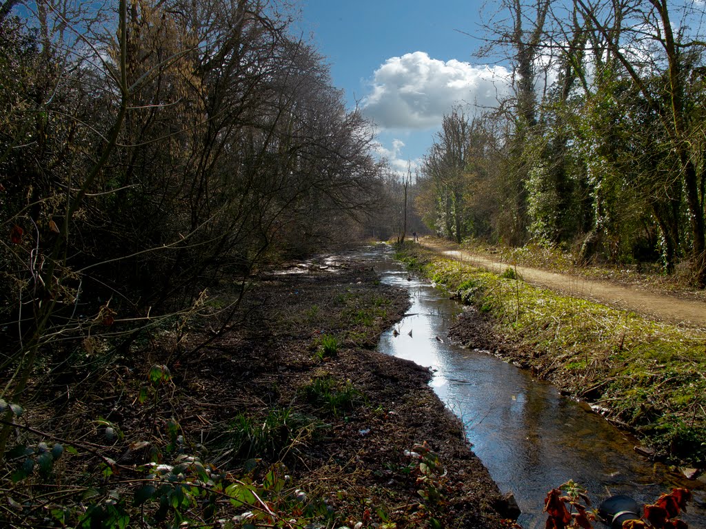 Glamorganshire Canal by Guybm