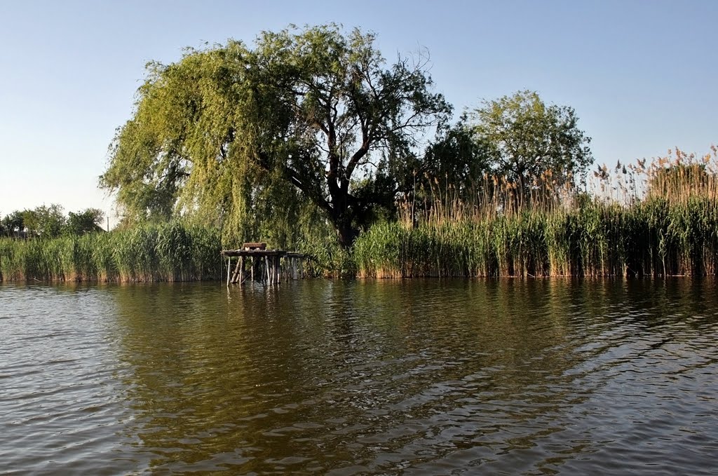 Река Кирпили. - Kirpili river. by Oksana Klimenko