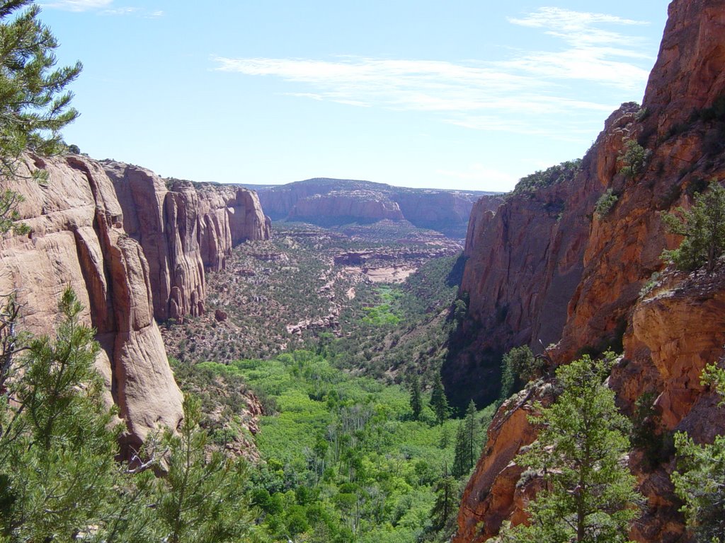 Tsegi Canyon. Navajo National Monument 6/1/2004 by Tim Carr