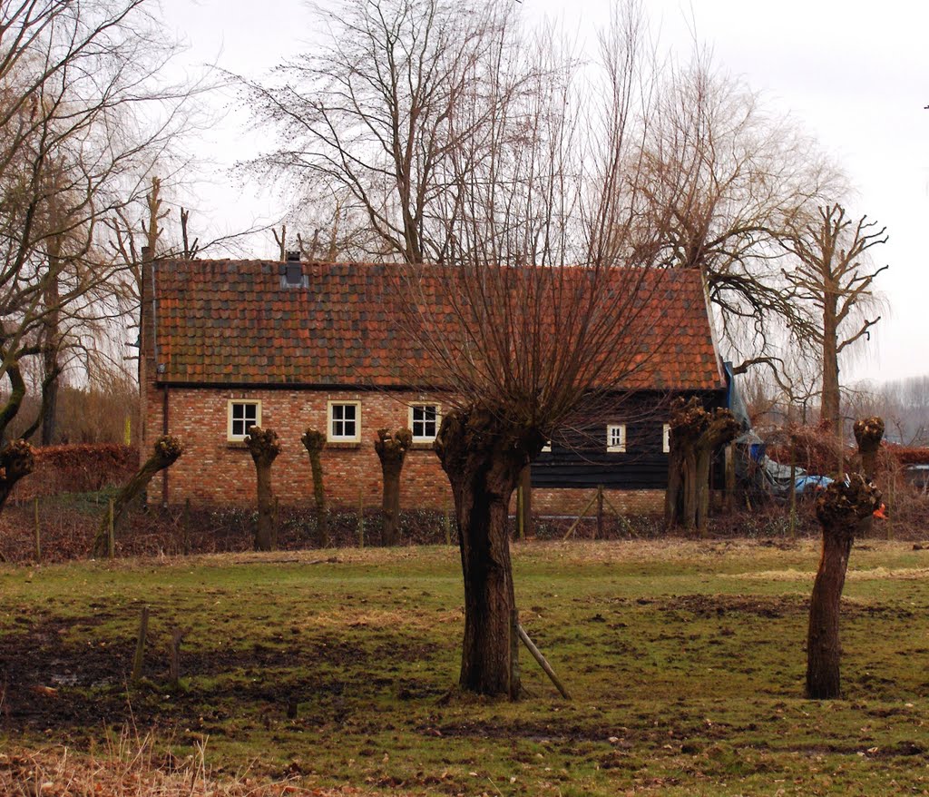 Hooidonk, Nuenen by © cvandermeijden