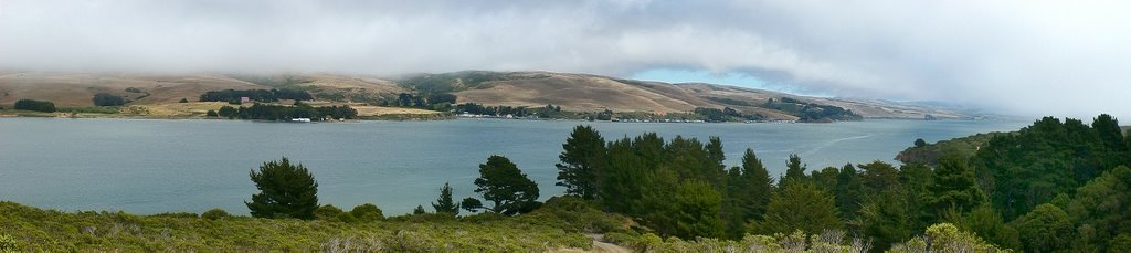 Tomales Bay from above Marshall Beach by Argyris Kotoulas