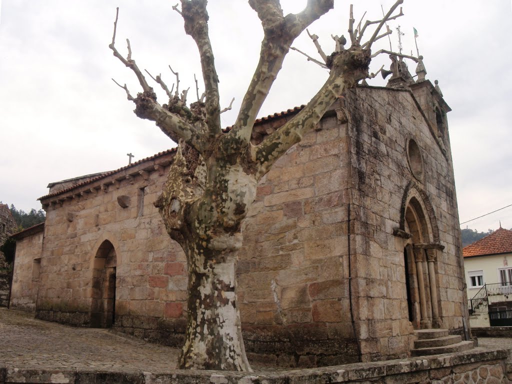 Igreja de Sta. Mª Madalena by Elcorty