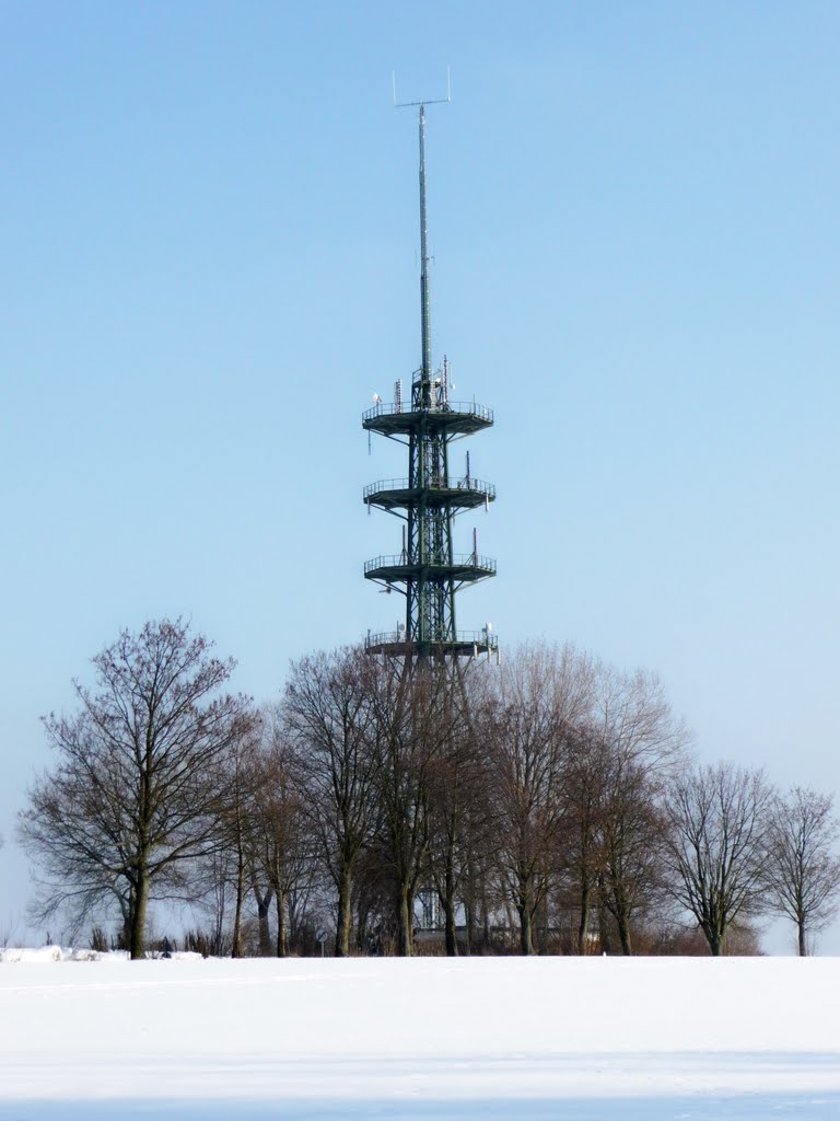 Hühnerberg, Sendemast, kleine Loh, im Winter by Inge Mankel