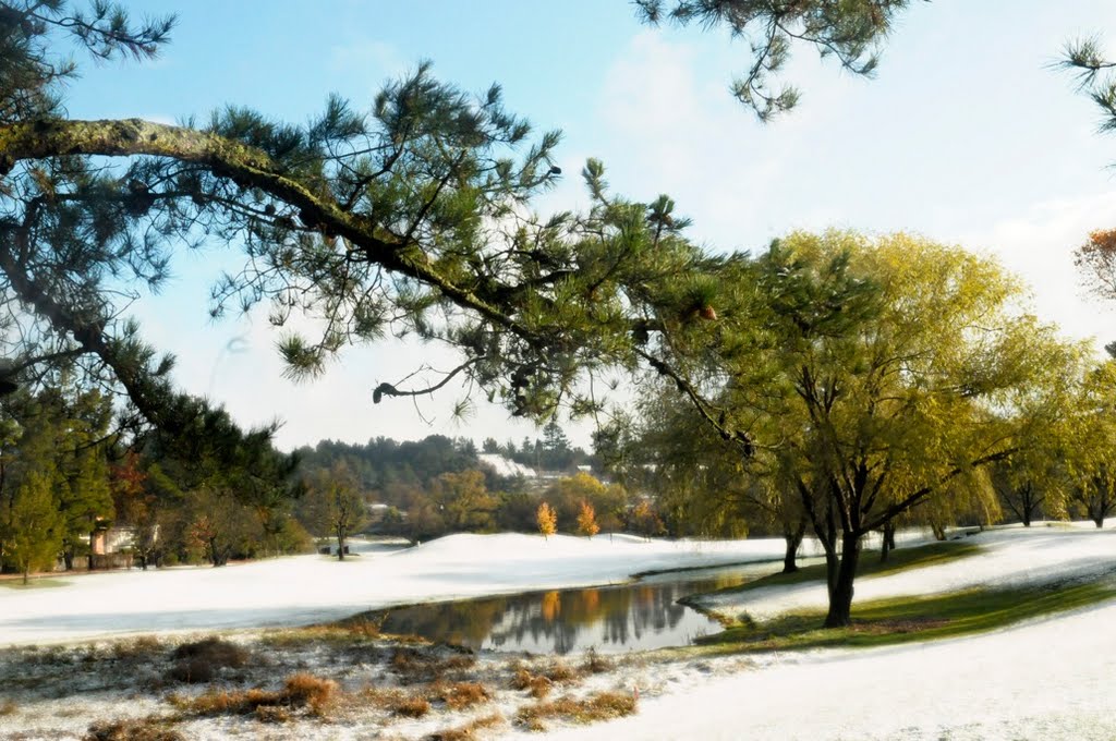 Rare snow day at the Moraga Country Club by roboso