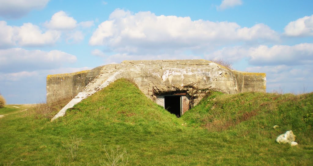 Blockhaus pointe saint clement esnandes by thierry llansades