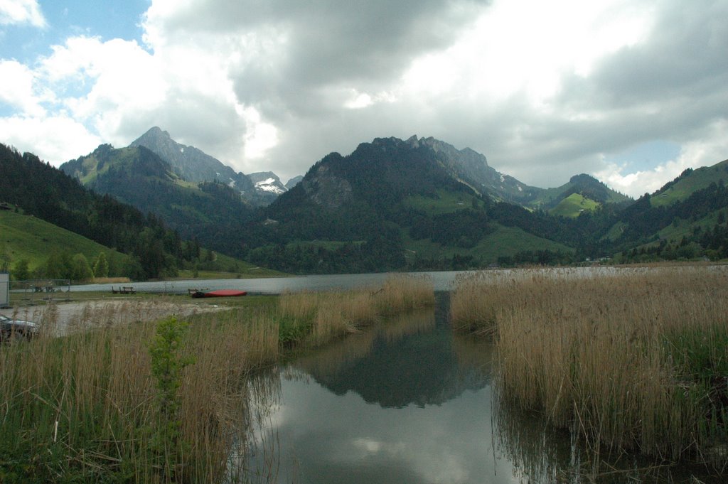 Schwarzsee, early summer by hansruch