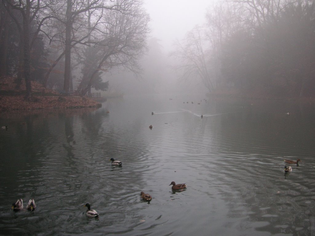 Villa Reale: Laghetto in Inverno by Adso