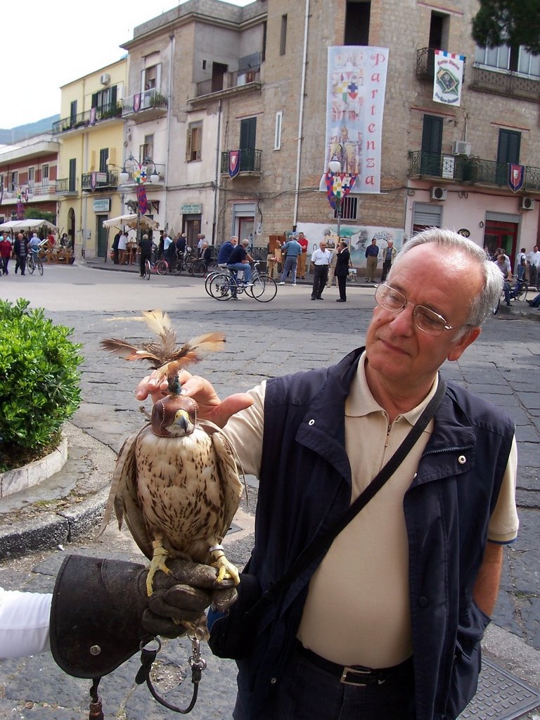 Palio dei quartieri 2007: il falco by Elio Volpe