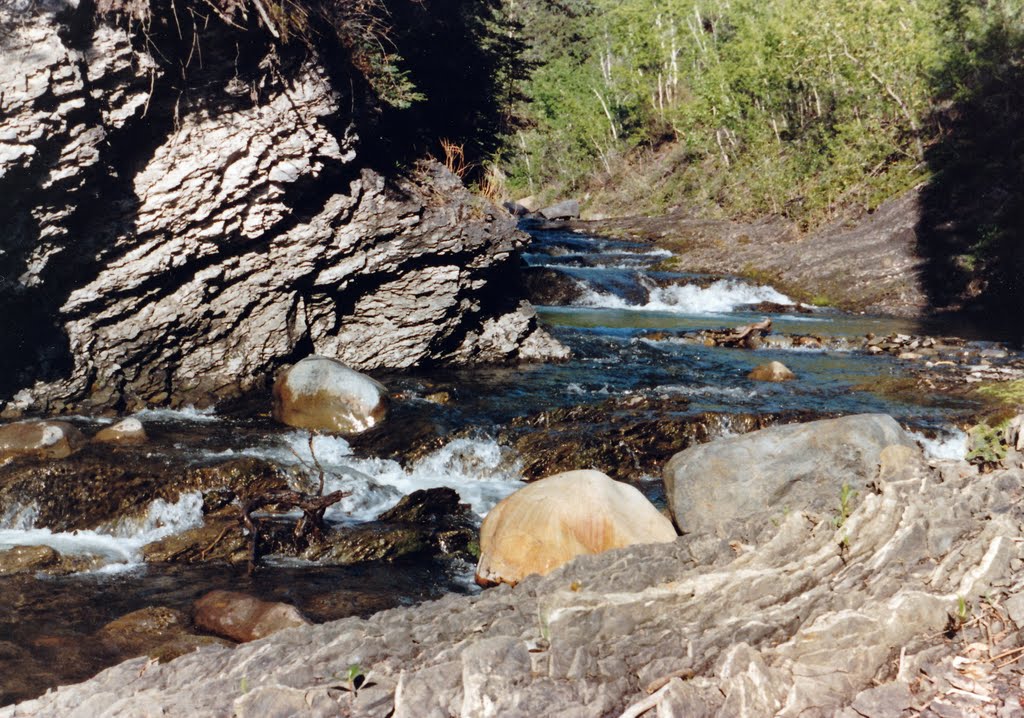 Gorge Creek Closeup, Summer 1987 by kblange