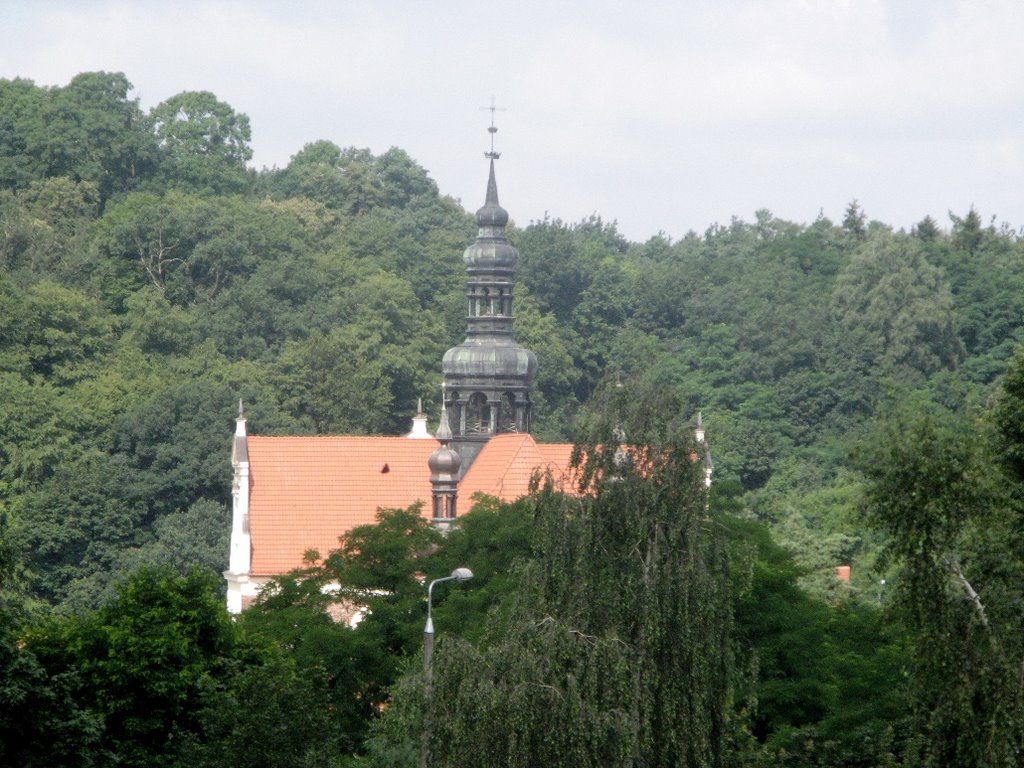 Kolegiata p.w. Wniebowzięcia Najświętszej Marii Panny (Kościół Pocysterski) by RFLGBS