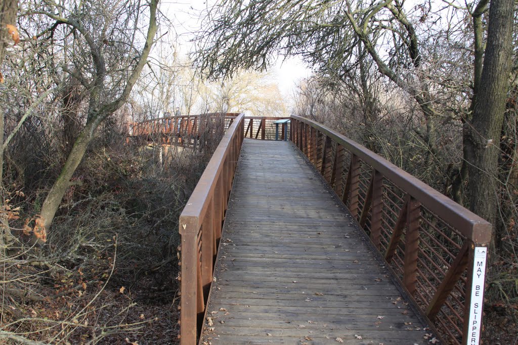 Hiking Trail Bridge at Cosumnes River Preserve by wgerman