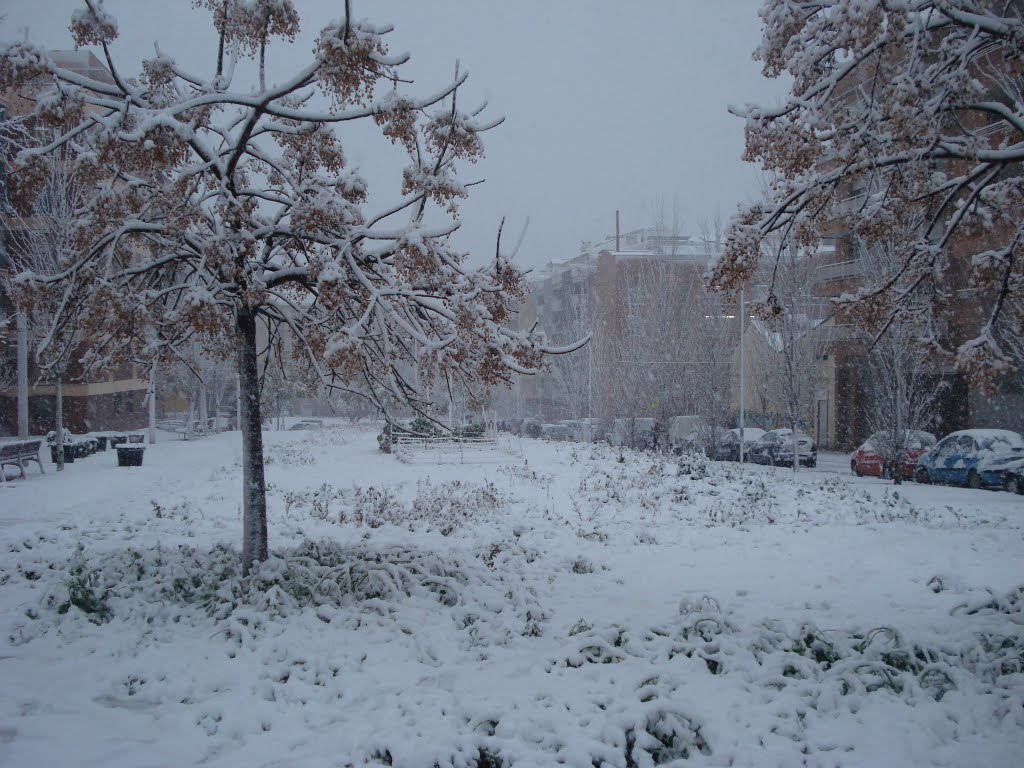 Nevada en Barcelona (08-03-2010) by tocara