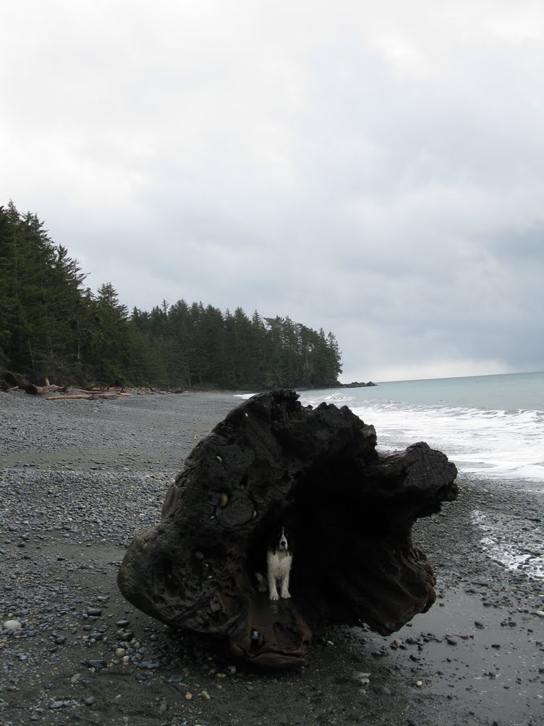 French BeachVancuver Island,B.C.Canada by Marti Farkas