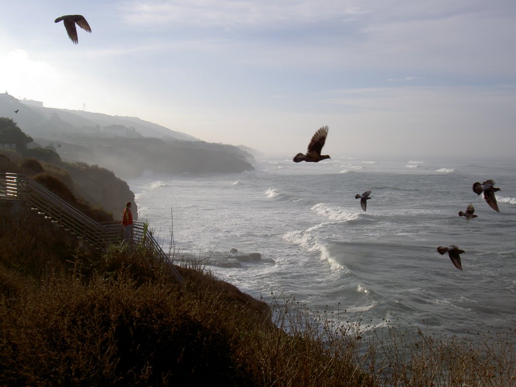 Sunset Cliffs, San Diego, CA 92107, USA by sdbeachwalker