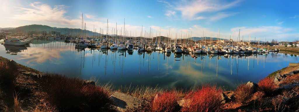 Bellingham Marina Feb. 09 by MartyLeeB