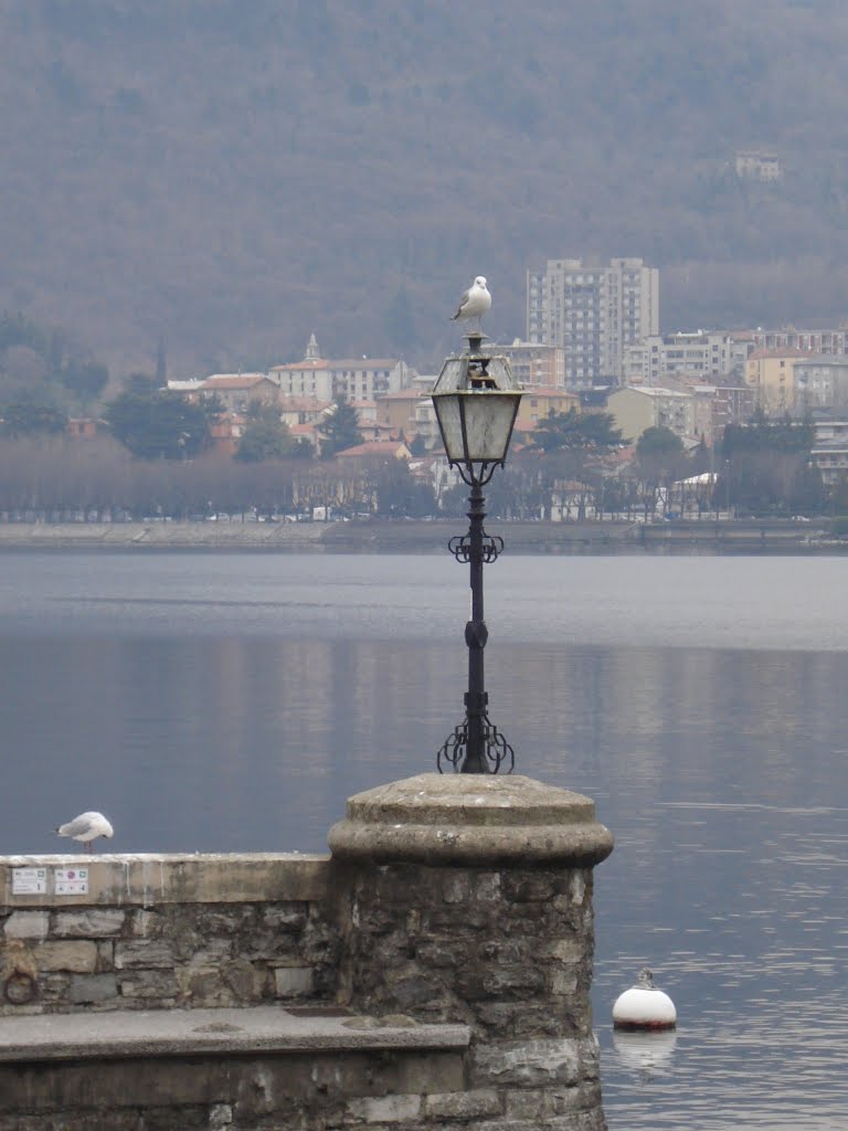 Malgrate/Lecco by birgitof