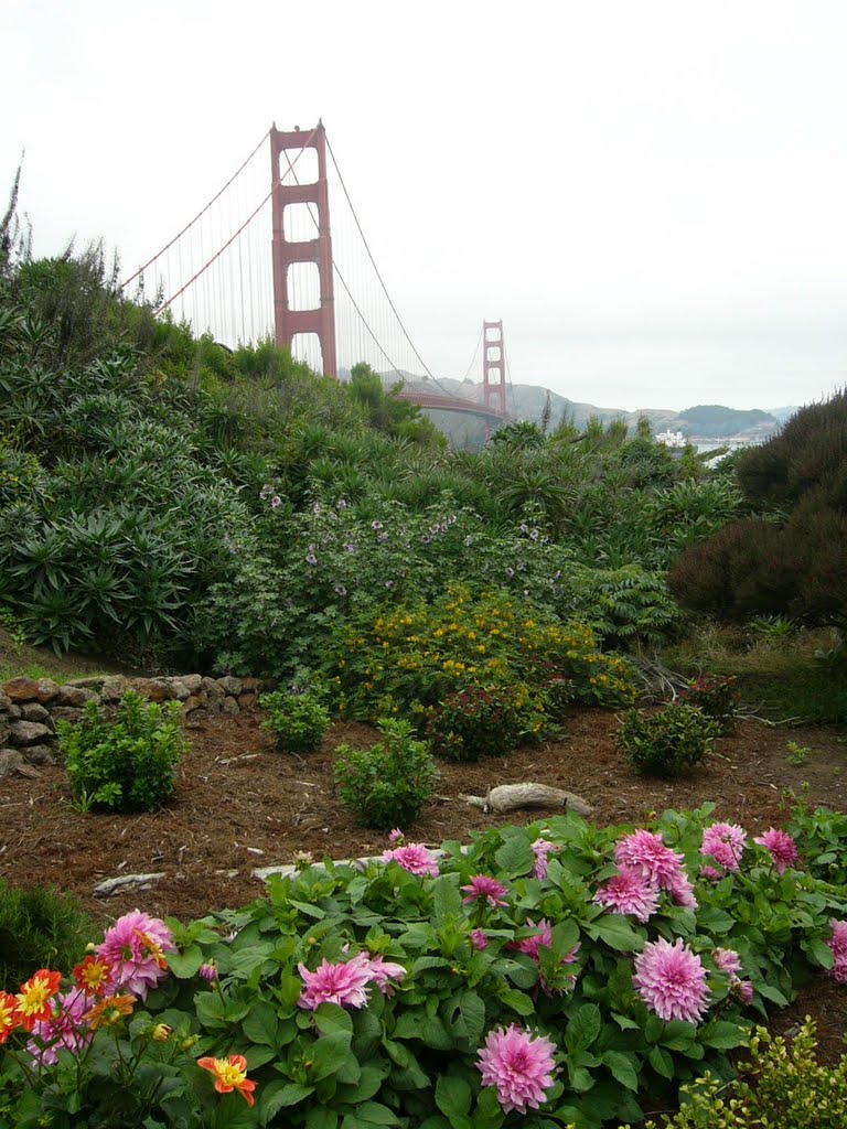 San Fransisco California by Jamie Cane