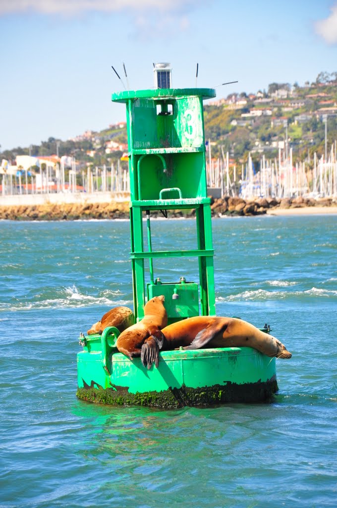 Buoy outside Santa Barbara marina by Steve Devol