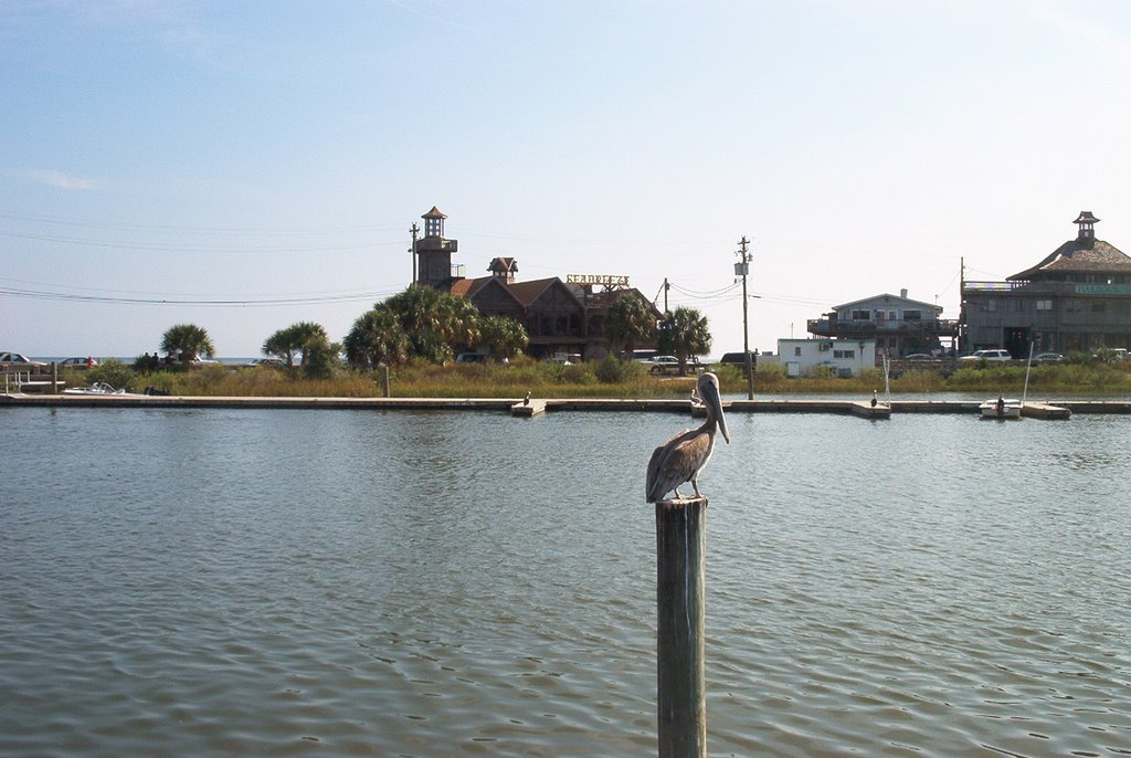 Cedar Key Lighthouse by Chris Sanfino