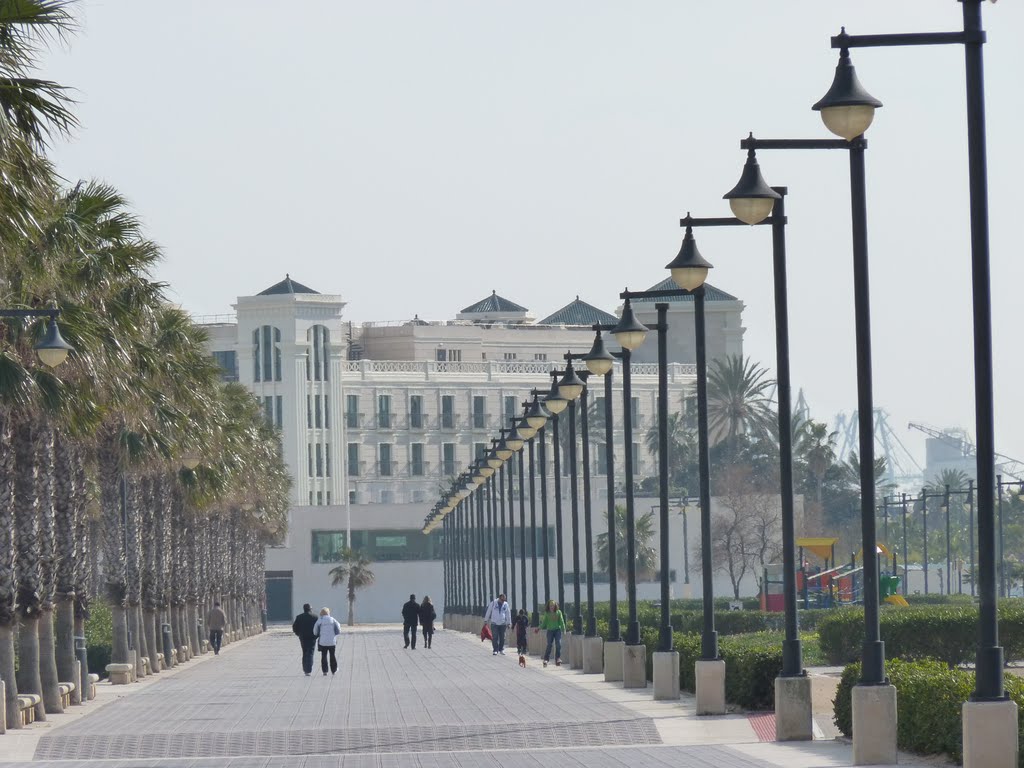 Valencia. Passeig maritim. Paseo Maritímo by SocVoro