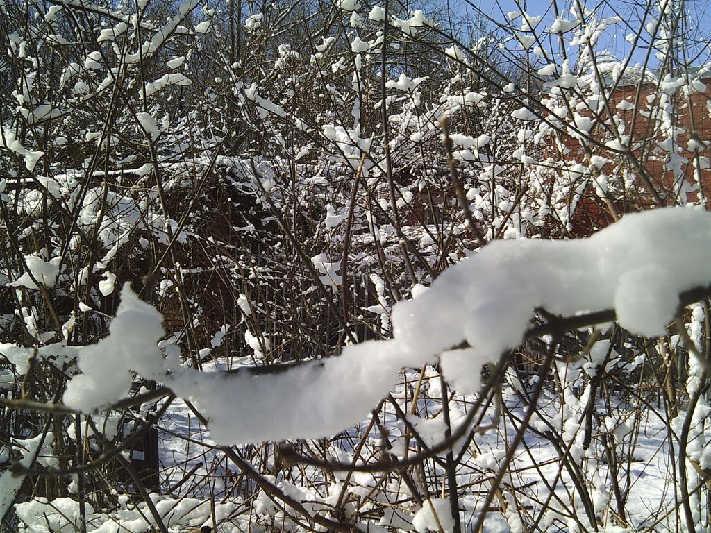 The spring snow snakes in Rostov-on-Don. All snow snakes are under the TAG of 'snow snakes'. Welcome! by Valentine Verchenko