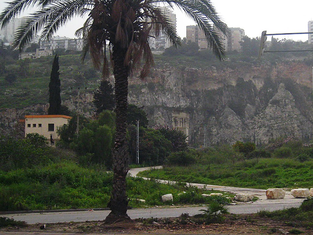 Bare soil in Haifa by CarmelH