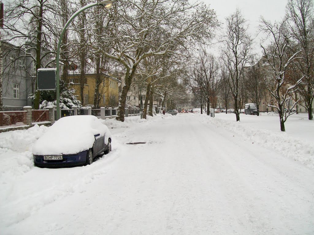 Preussenallee Dec. '09 Market day by danburian