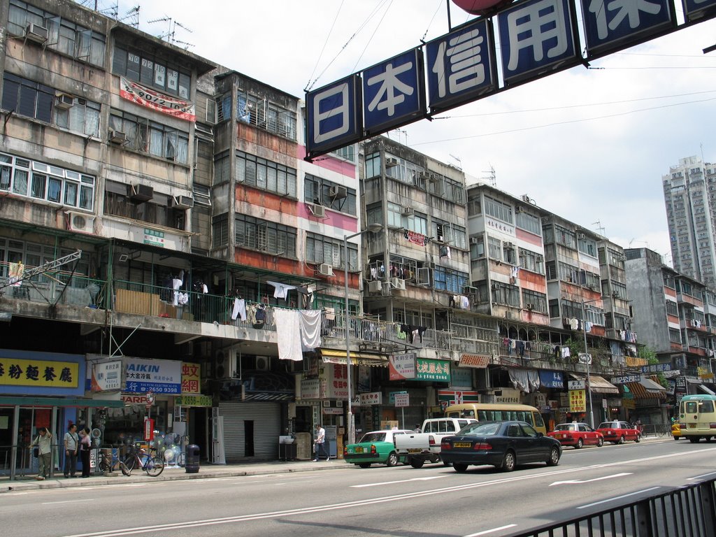 大埔舊墟 (Tai Po old Market) by yavniel