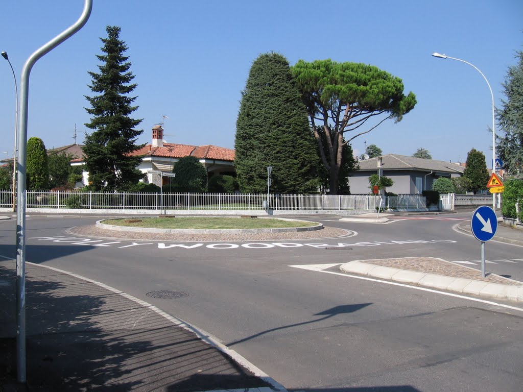 Hollywood Basiano by Bob Simbel