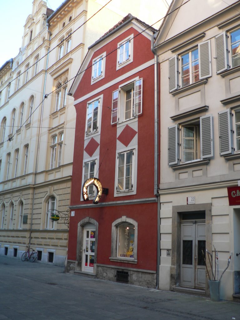 Houses in Old Graz (right bank) by Dmitriy Tkachenko