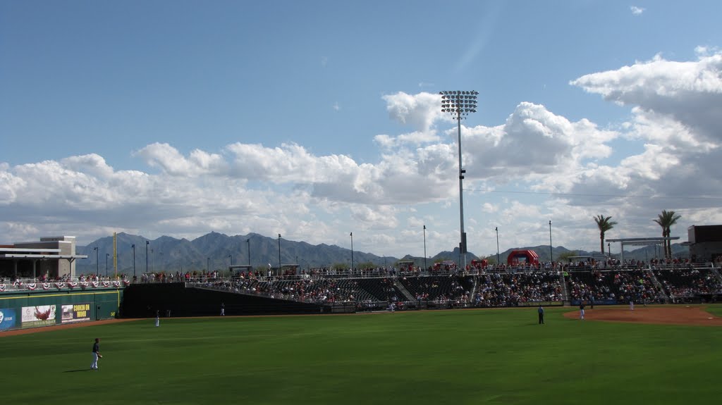 View from beneath the score board by AZDesertFlower