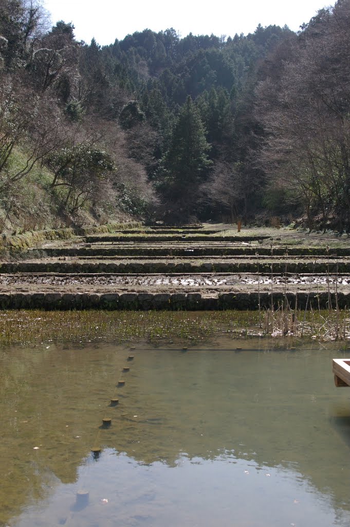 Komine Park in early spring 早春の小峰公園2 by tbtaro