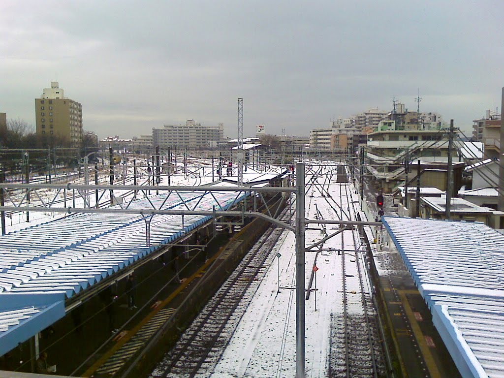 Snowfall at 10th March, 2010 by tbtaro